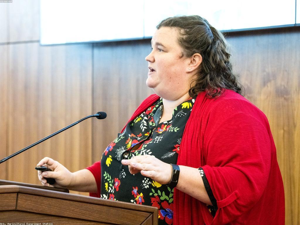 ការយល់ដឹងអំពីរចនាសម្ព័ន្ធច្បាប់