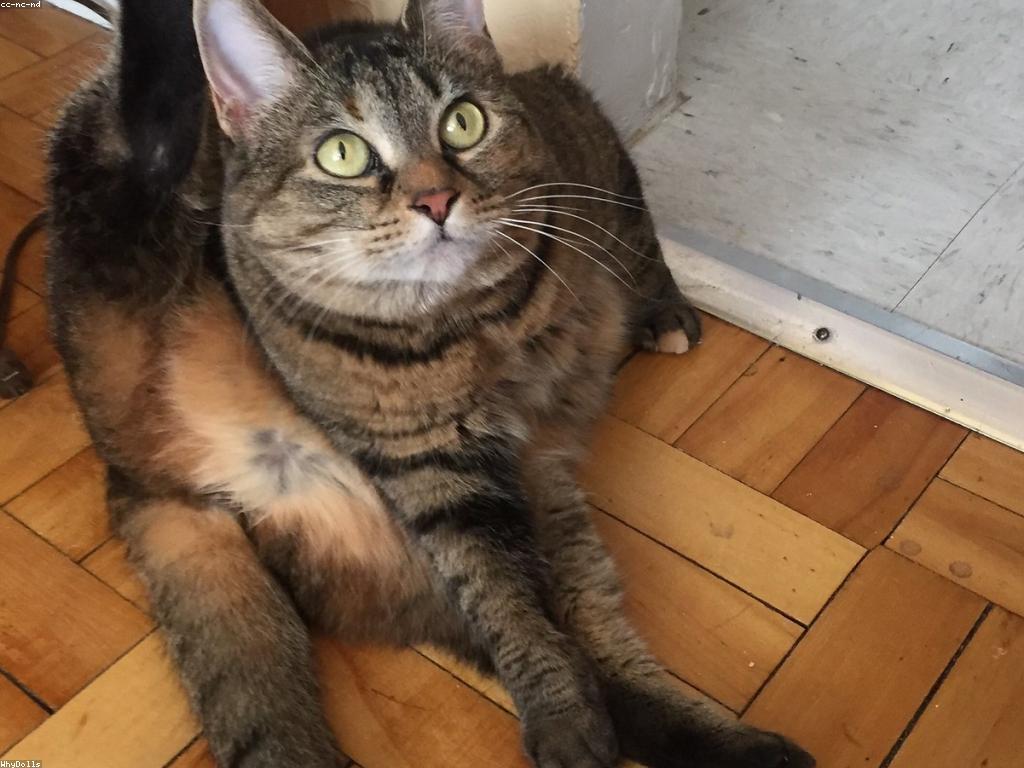 ព័ត៌មានថ្មីៗសម្រាប់មនុស្សគ្រប់គ្នា